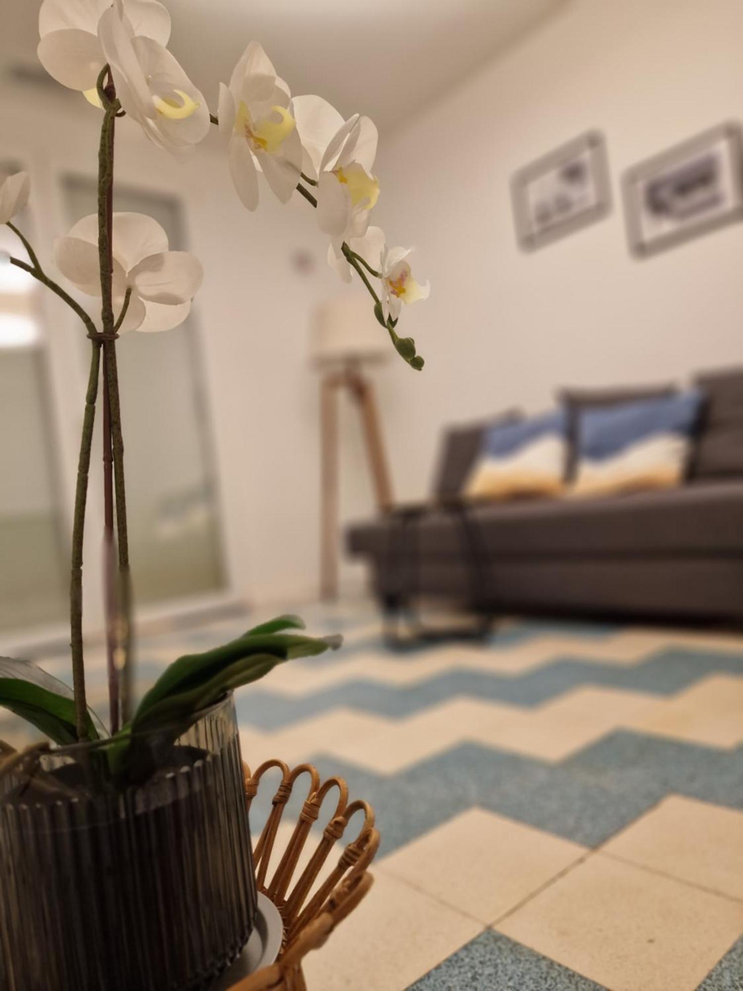 Maison Ping ,En Face Des Arenes 베지에 외부 사진